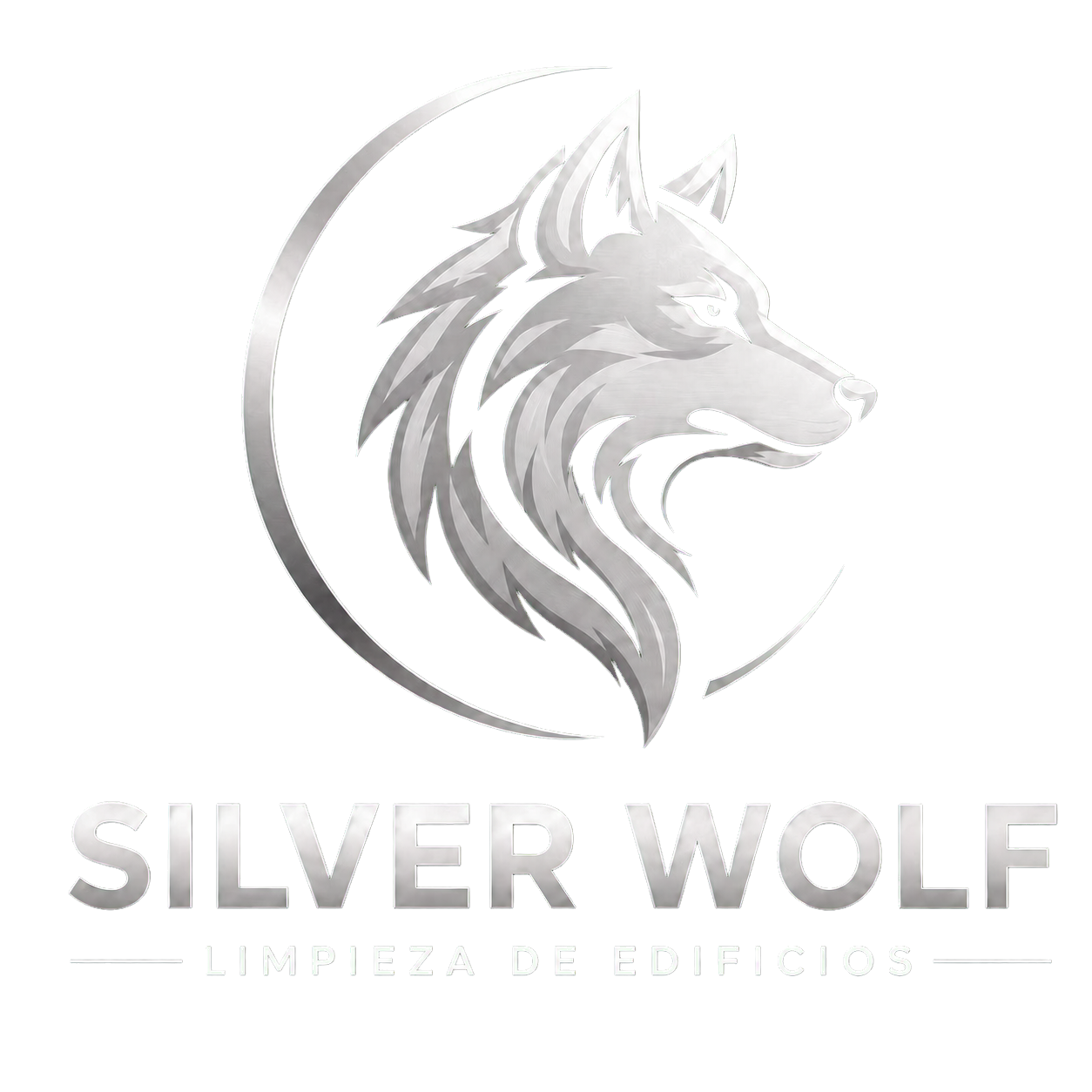 Silver Wolf, limpieza de edificios